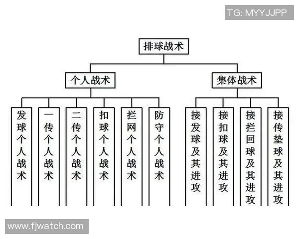 西安排球队快攻战术解析与排球热点深度剖析