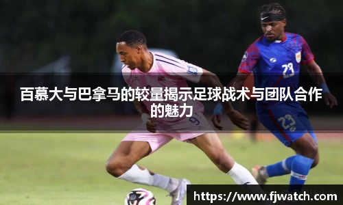 OD体育官网