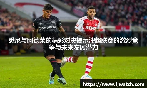 OD体育官方欧洲杯平台