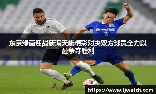 东京绿茵迎战新泻天峨精彩对决双方球员全力以赴争夺胜利